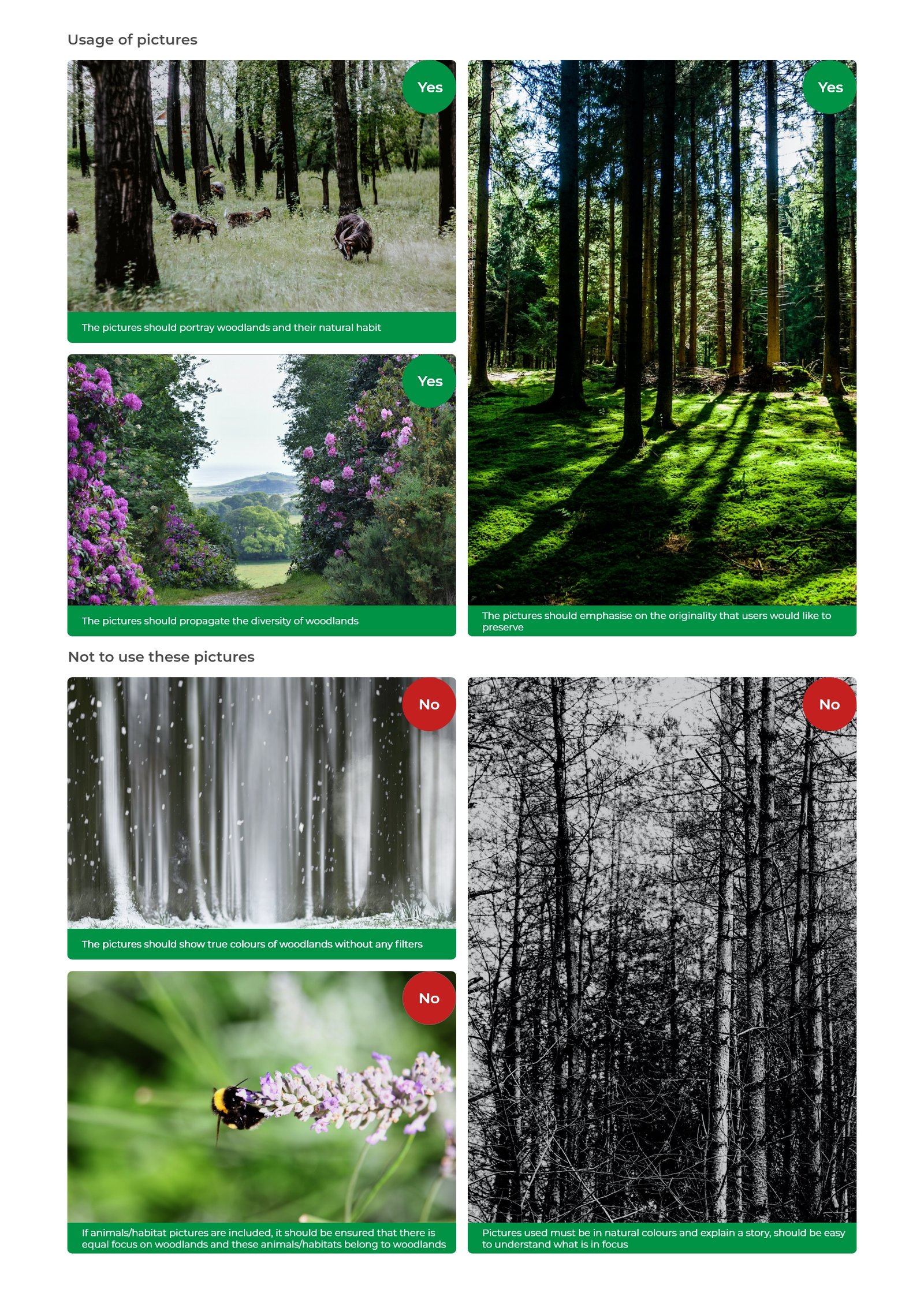 Native Woodland Trust design screen